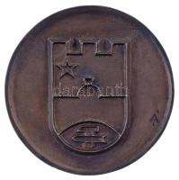 Ábrahám István (1945-) 1988. "Europa cantat 10 - Pécs Hungary 1988" kétoldalas bronz emlék...