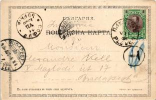 1905 Pleven, Le lieu ou capitula Osman-Pacha en 1877 pres la riviere Vite / The place where Osman Pa...