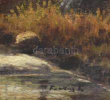 Olvashatatlan (Farkas?) jelzéssel: Erdei patak. Olaj, karton. Dekoratív, sérült fakeretben, 55×68 cm
