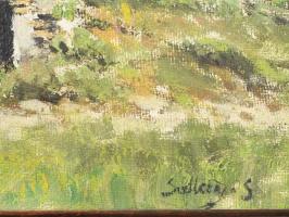 Olvashatatlan jelzéssel: Tanya. Olaj, vászon. Fakeretben. 30x45 cm