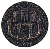 DN Esztergom "SIGILLUM LATINORUM CIVITATIS STRIGONIENSIS" III. Béla esztergomi pecsétnyomójának egyoldalas fém emlékplakettje (~65-67mm) T:AU patina