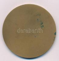 Kovács Dezső (1921-2004) DN "Eredményes Propaganda Munkáért" egyoldalas bronz emlékérem er...