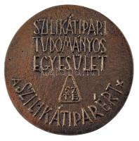 DN "Szilikátipari Tudományos Egyesület - A szilikátiparért" kétoldalas bronz emlékérem (62...
