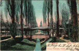 1905 Buziásfürdő, Baile Buzias; Sóhaj fasor. Francz Testvérek kiadása / alley, promenade (fa)