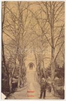 Szatmárnémeti, Szatmár, Satu Mare; Kálvária. Cseplák Bálintné kiadása 450. (W.L. ?) / calvary (felületi sérülés / surface damage)