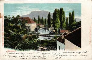 1901 Tapolca, tó, malom. Löwy B. kiadása (apró szakadások / tiny tears)