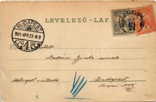 1901 Tapolca, tó, malom. Löwy B. kiadása (apró szakadások / tiny tears)