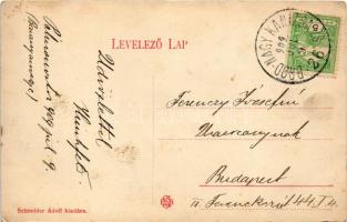 1909 Pélmonostor, Baranyamonostor, Beli Manastir; Adolf Schneider üzlete és saját kiadása / shop + &...