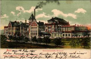 1905 Zatec, Saaz; Genossenschafts-Brauerei. Verlag Heintich Erben / Cooperative Brewery, beer factory (EK)