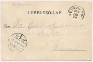 1906 Petrozsény, Petrosani; Fő utca, üzletek / main street, shops (r)