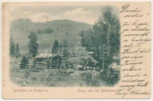Bukovina, Bucovina, Bukowina; Waldhütten im Hochgebirge. Verl. v. Leon König (Czernowitz) / forest cabins in the high mountains (Rb)