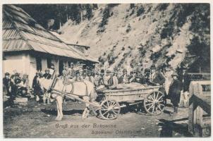 Chernivtsi, Czernowitz, Cernauti, Csernyivci (Bukovina, Bucovina, Bukowina); Gruss aus der Bukowina. Lipowaner Obsthändler. Verlag v. Leon König / Lipovan fruit vendor (Rb)