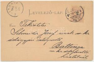 1900 Zsombolya, Hatzfeld, Jimbolia; Római katolikus templom, Fő tér a Flórián szoborral, Gróf Csekon...