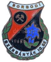 1960-1970 k. "Borsodi Szénbányák IG SE természetjáró szakosztály" zománcozott bronz jelvény (20x25mm) T:XF