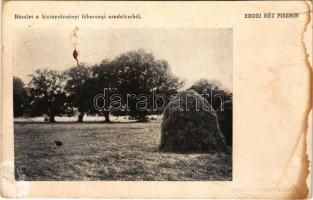 Kistapolcsány, Topolcianky; részlet a kistapolcsányi főhercegi uradalomból. Erdei rét Piszkin / archduke's estate, forestal meadow (ázott / wet damage)