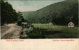 1913 Ebedec, Obyce (Aranyosmarót mellett / near Zlaté Moravce); Részlet az ebedeci erdőből, kunyhó. Kiadja Brunczlik I. / detail of the forest, hut (EB)
