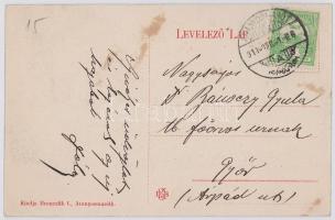 1913 Ebedec, Obyce (Aranyosmarót mellett / near Zlaté Moravce); Részlet az ebedeci erdőből, kunyhó. ...