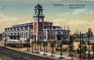 Trieste Fish market hall (gluemark)