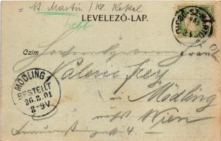 1901 Dicsőszentmárton, Tarnaveni, Diciosanmartin; látkép este holdfényben. Jeremiás Áron kiadása / g...