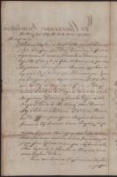 1829 A Győr vármegyei Rába család nemesi oklevelének kihírdetése a megyei közgyűlésen, hivatalos jeg...