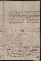 1829 A Győr vármegyei Rába család nemesi oklevelének kihírdetése a megyei közgyűlésen, hivatalos jeg...