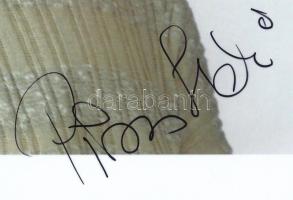 Piros Ildikó (1947-) Kossuth- és Jászai Mari-díjas színésznő autográf aláírása őt ábrázoló fotón, 16...