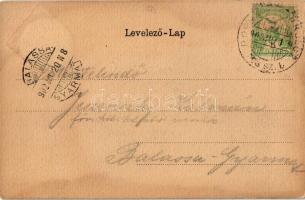 1902 Lőcse, Levoca; Városháza. Latzin János kiadása. Szecessziós címeres litho keret / Rathaus / tow...