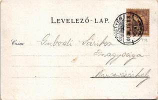 1901 Pöstyén, Piestany; Stibor vára (Beckó vára) a Vágvölgyben. A. Bernas kiadása / Beckovsky Hrad, ...