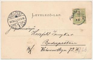 1903 Marosgezse, Gheja (Marosludas, Ludus); Báró Bánffy kastélya. Glück József kiadása / Schloss / c...