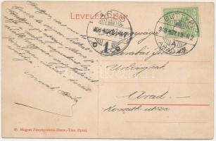 1908 Buttyin, Körösbökény, Bököny, Nagybuttyin, Buteni, Bucin; Fő utca, üzletek / main street, shops...