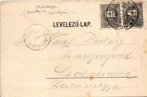 1899 Boksánbánya, Németbogsán, Deutsch-Bogsan, Bocsa Montana; látkép. Fischer Isidor kiadása / gener...