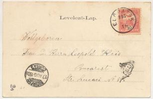 1905 Előpatak, Valcele; Lobogó fürdő és Otrobán villa. Szecessziós-virágos litho keret / spa, bathho...