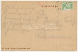 1912 Gátalja, Gáttája, Gataia; Berzava híd, lovaskocsi / Barzava river bridge, horse-drawn carriage ...