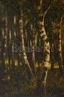 Csókos jelzéssel: Pecázó. Olaj, vászon. Dekoratív, kissé sérült fakeretben. 80x100 cm. KIZÁRÓLAG SZE...