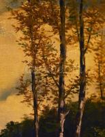 Csókos jelzéssel: Pecázó. Olaj, vászon. Dekoratív, kissé sérült fakeretben. 80x100 cm. KIZÁRÓLAG SZE...