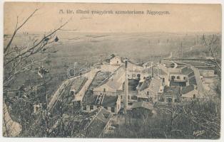 Algyógy, Geoagiul de jos, Geoagiu; M. kir. állami vasgyárak szanatóriuma. Adler fényirda (Szászváros) 1910. / iron factory's sanatorium (EB)
