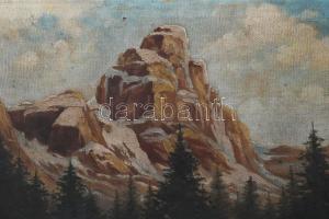 Ferency T jelzéssel: Hegyvidéki tó, 1899. Olaj, vászon. Kissé sérült. 60x80 cm