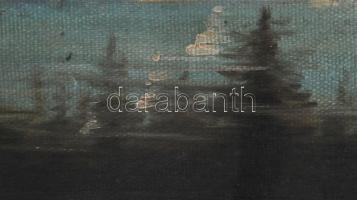 Ferency T jelzéssel: Hegyvidéki tó, 1899. Olaj, vászon. Kissé sérült. 60x80 cm