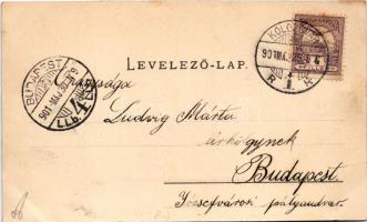 1901 Kolozsvár, Cluj; látkép, keleti rész a Fellegvárról. Kováts P. fiai kiadása / general view (vág...