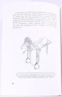 Nagy Kálmán: A honfoglalás hadtörténete. DEDIKÁLT! 1998, Szabad Tér. Kiadói kartonált kötés, jó álla...