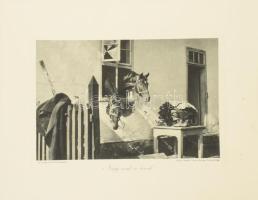 cca 1914-1918 Az Érdekes Ujság háborús albuma, I., II., VI. füzetek, összesen 36 db fekete-fehér táb...