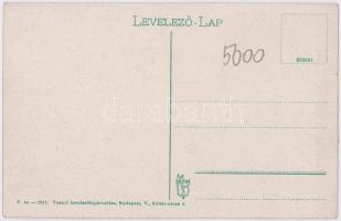 Trencsén, Trencín; várrom. Vasúti levelezőlapárusítás 3. sz. - 1917. / hrad / castle ruins