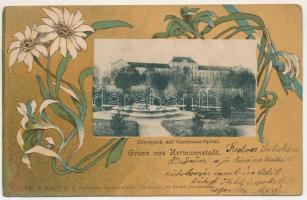 1902 Nagyszeben, Hermannstadt, Sibiu; Erlenpark mit Garnisons-Spital / Erlen park, Helyőrségi kórház. Szecessziós-virágos litho keret / park, K.u.K. military garrison hospital. Verl. G. A. Seraphin. Lichtdruck v. Jos. Drotleff Art Nouveau, floral, litho frame (EK)