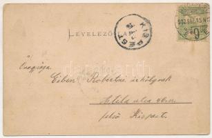 1902 Nagyszeben, Hermannstadt, Sibiu; Erlenpark mit Garnisons-Spital / Erlen park, Helyőrségi kórház...