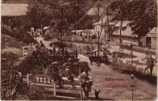 1906 Vihnye, Vihnyefürdő, Kúpele Vyhne; Felső park részlet. Liptay László kiadása / spa park (fa)