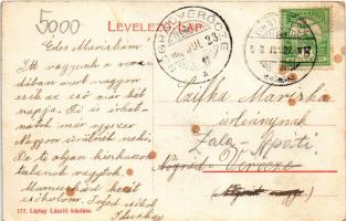 1906 Vihnye, Vihnyefürdő, Kúpele Vyhne; Felső park részlet. Liptay László kiadása / spa park (fa)