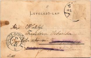 1903 Nagyszeben, Hermannstadt, Sibiu; Gruss aus der Hermannstädter Gewerbe Ausstellung, Maschinenhal...