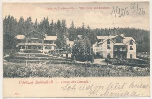 1905 Borszék, Borsec; Csíky és Excelsior villa / villas (EK)