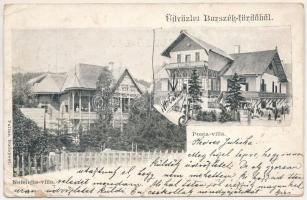 1900 Borszék, Borsec; Nefelejts villa, Posta villa / villas. Art Nouveau (EB)