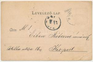 1900 Borszék, Borsec; Nefelejts villa, Posta villa / villas. Art Nouveau (EB)